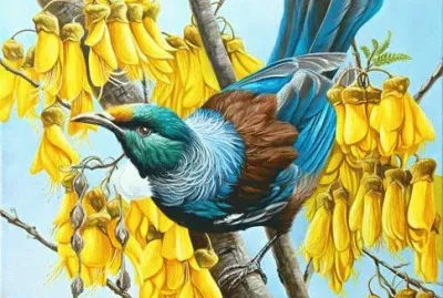 Tui in Gold  ( Kingfisher ) by  Craig Platt