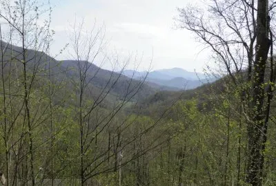 Early spring