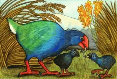 Takahe  New Zealand art