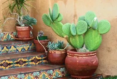 Talavera tile entryway  Mexico