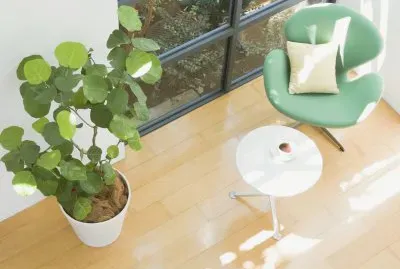 A jigsaw puzzle