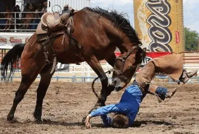 VAQUERO Y BRONCO