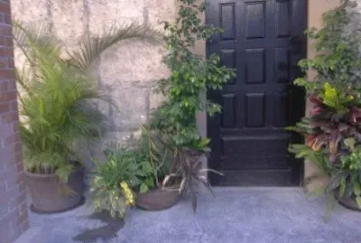 Detalle en Monterrey jigsaw puzzle