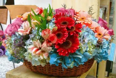 fleurs