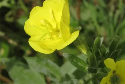  "What 's up buttercup? "