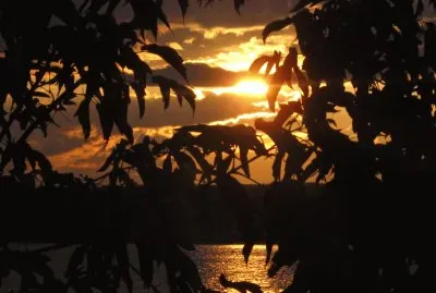 Yes, another sunset...but so beautiful