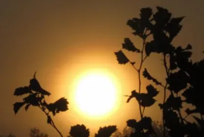Hazy  'gonna be a hot one ' sunrise jigsaw puzzle