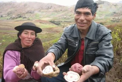 Peru Farmer