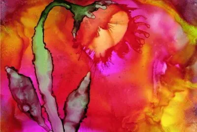 The Color of Abundace