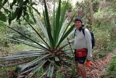 ZANDRO EN KNOCH VENEZUELA