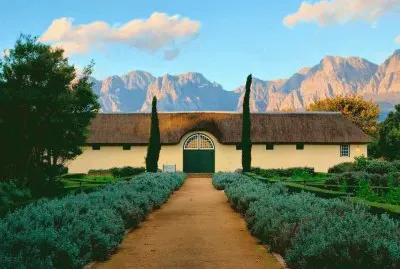 STELLENBOSCH VIÃ‘EDOS.