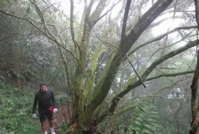 ZANDRO EN KNOCH VENEZUELA