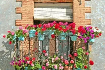 flores y macetas jigsaw puzzle