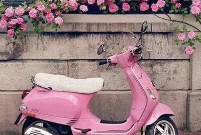 Old pink Vespa scooter