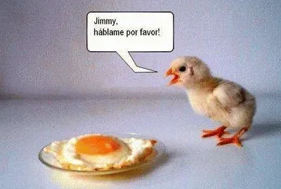 JIMMY, HUMOR NEGRO...