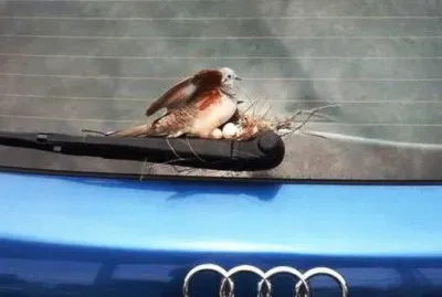 motorhome jigsaw puzzle