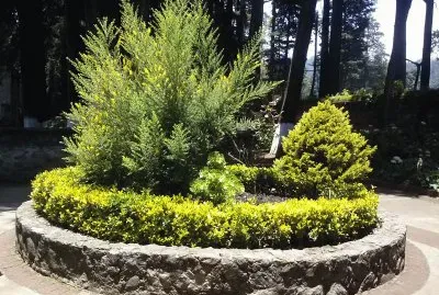 jardin