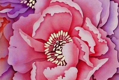 Pink and Purple Rose