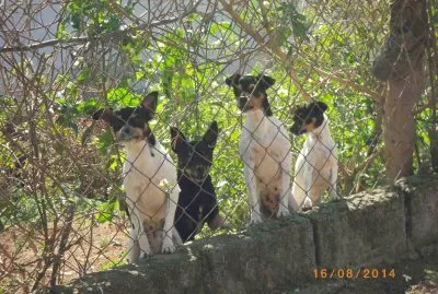 Os Gardiões