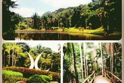 פאזל של Areas do Jardim BotÃ¢nico - SP