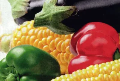 Aliments