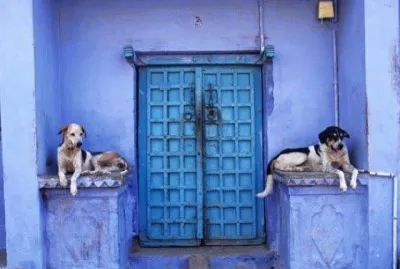 Blue painted building