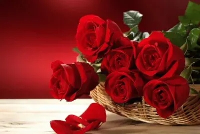Roses