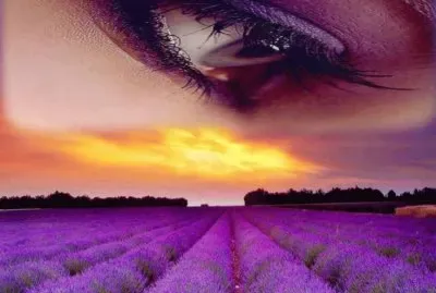 Lavender and Eye jigsaw puzzle