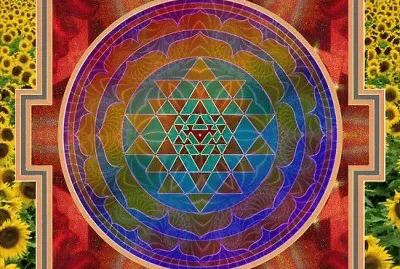 Yantra and the Sunflowers