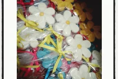 margaridas coloridas jigsaw puzzle