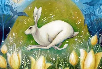 amanda clark