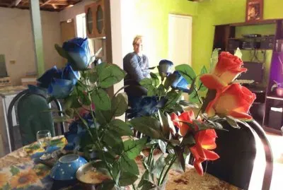 flores