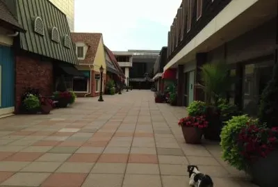 St Louis Courtyard