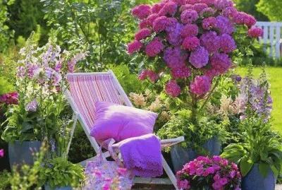 jardin jigsaw puzzle