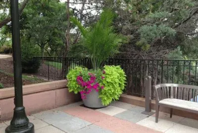 Bench in courtyard