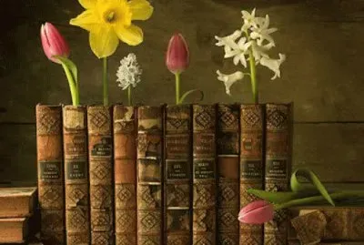 libri jigsaw puzzle