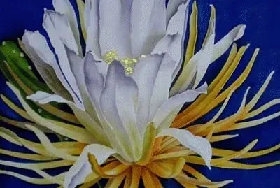 פאזל של Amazing Flower