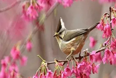 - encanto., jigsaw puzzle