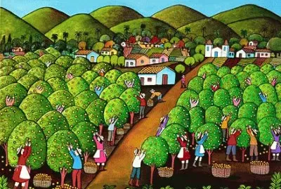 Orange picking  Brasil