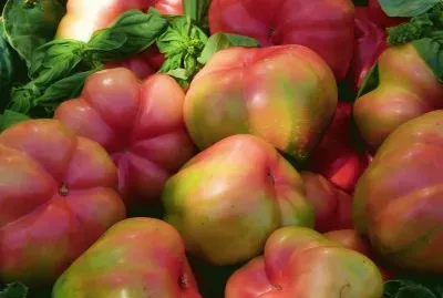 tomates jigsaw puzzle