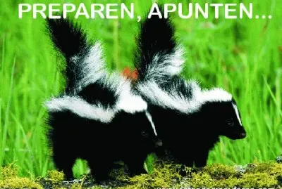 PREPAREN, APUNTEN...