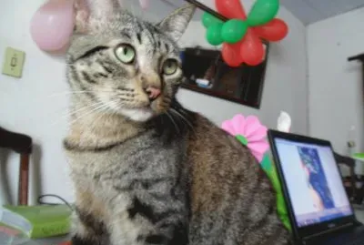 Momentos, Lugares, Pessoas, LembranÃ§as