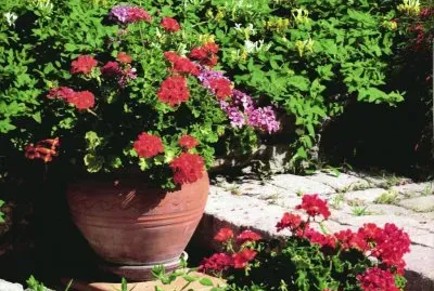 פאזל של JardÃ¬