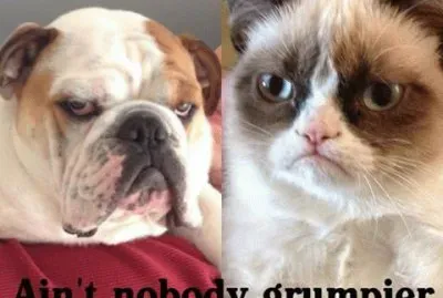 grumpy and friend