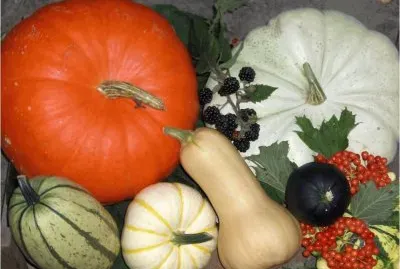 Pumpkins jigsaw puzzle