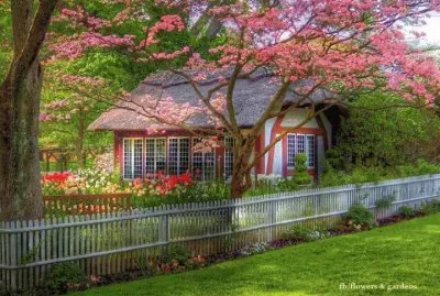 jardin jigsaw puzzle