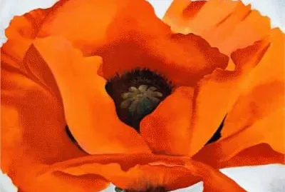 Red Poppy by Georgia O 'Keeffe