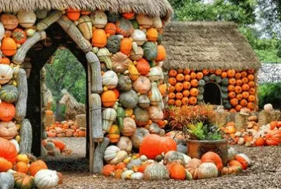 Many Pumpkins