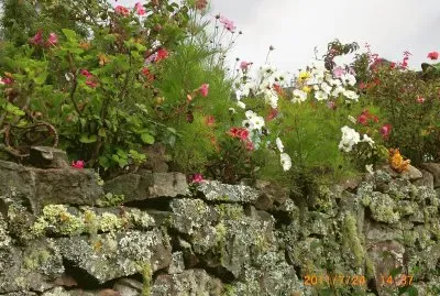 Jardin jigsaw puzzle