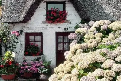 פאזל של English Cottage